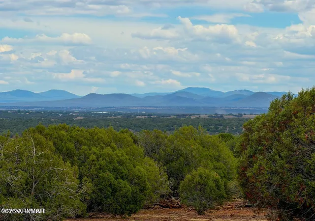 Photo 2 of Land for sale at 8087 Mustang Ln 20 Acres, Show Low, AZ 85901 | MLS# 7064162 | Listing updated on 2026-09-05