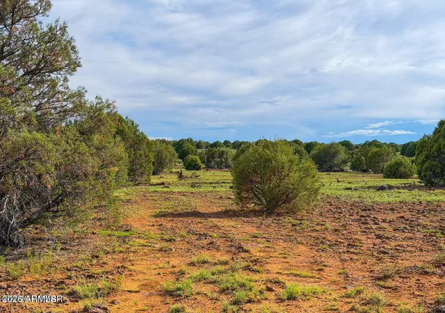 Photo 3 of Land for sale at 8087 Mustang Ln 20 Acres, Show Low, AZ 85901 | MLS# 7064162 | Listing updated on 2026-09-05