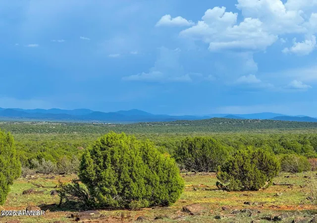 Photo 4 of Land for sale at 8087 Mustang Ln 20 Acres, Show Low, AZ 85901 | MLS# 7064162 | Listing updated on 2026-09-05