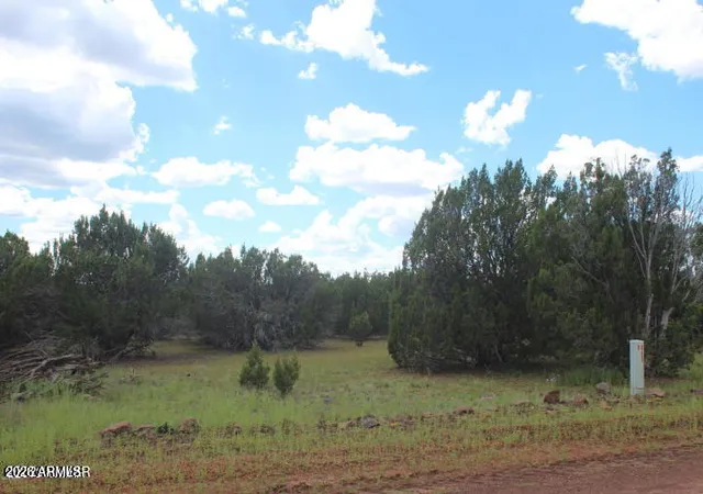 18th image of 29 Co Rd 3199, Vernon, AZ 85940 | MLS# 7064197