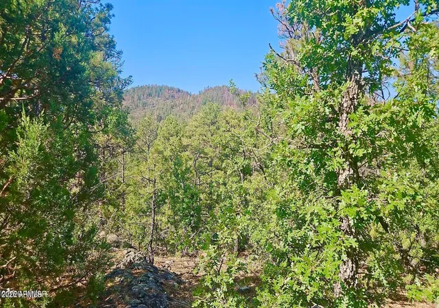 1st image of 29 Co Rd 3199, Vernon, AZ 85940 | MLS# 7064197