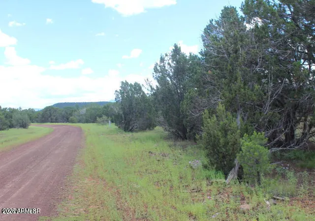 5th image of 29 Co Rd 3199 --, Vernon, AZ 85940 | MLS# 7064197