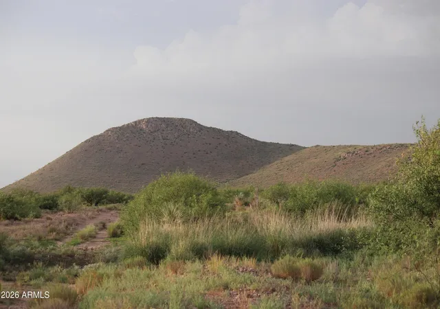 3rd image of Tbd S Unamed Rd #417 and 418, Elfrida, AZ 85610 | MLS# 7064421