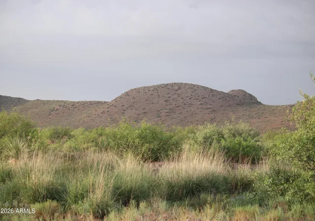 5th image of Tbd S Unamed Rd #417 and 418, Elfrida, AZ 85610 | MLS# 7064421
