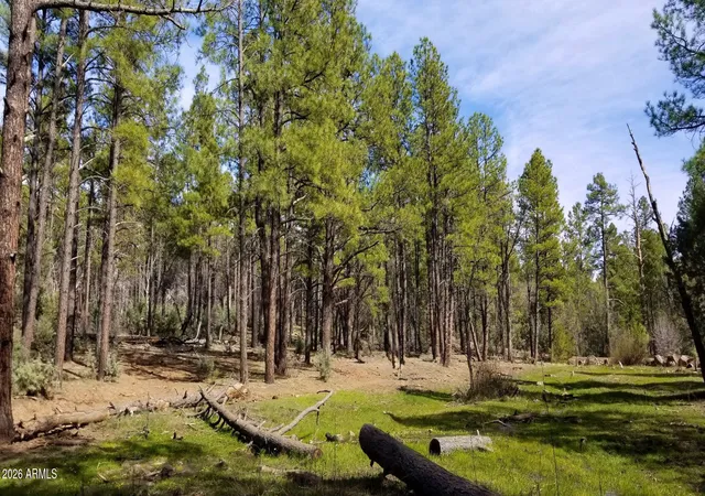 Photo 1 of Land for sale at 2259 E T Bear Trl #'-', Lakeside, AZ 85929 | MLS# 7064877 | Listing updated on 2026-09-21