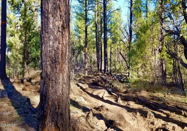 Photo 3 of Land for sale at 2259 E T Bear Trl #'-', Lakeside, AZ 85929 | MLS# 7064877 | Listing updated on 2026-09-21