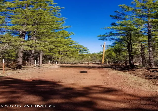 Photo 4 of Land for sale at 2259 E T Bear Trl #'-', Lakeside, AZ 85929 | MLS# 7064877 | Listing updated on 2026-09-21