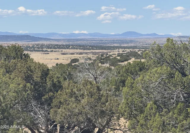 Photo 1 of Land for sale at Lot 752 Woodland Valley Ranch #752, St Johns, AZ 85936 | MLS# 7065069 | Listing updated on 2026-08-11