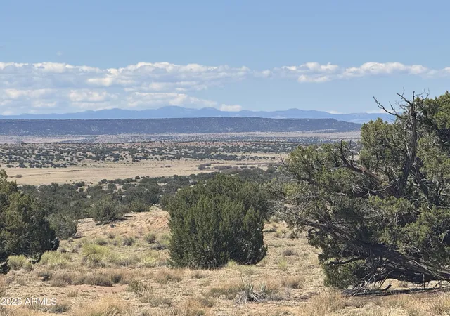 Photo 2 of Land for sale at Lot 752 Woodland Valley Ranch #752, St Johns, AZ 85936 | MLS# 7065069 | Listing updated on 2026-08-11
