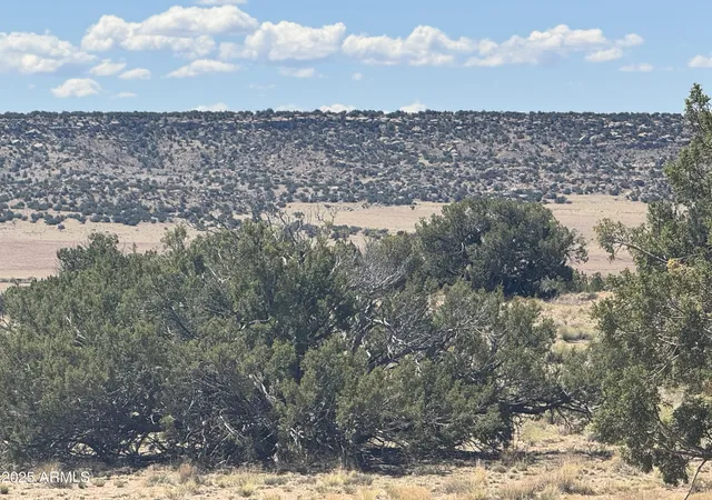Photo 3 of Land for sale at Lot 752 Woodland Valley Ranch #752, St Johns, AZ 85936 | MLS# 7065069 | Listing updated on 2026-08-11