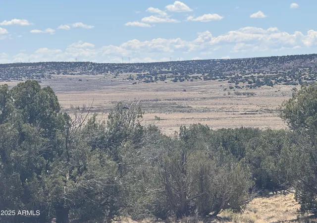 Photo 3 of Land for sale at Lot 752 Woodland Valley Ranch #752, St Johns, AZ 85936 | MLS# 7065069 | Listing updated on 2026-08-11
