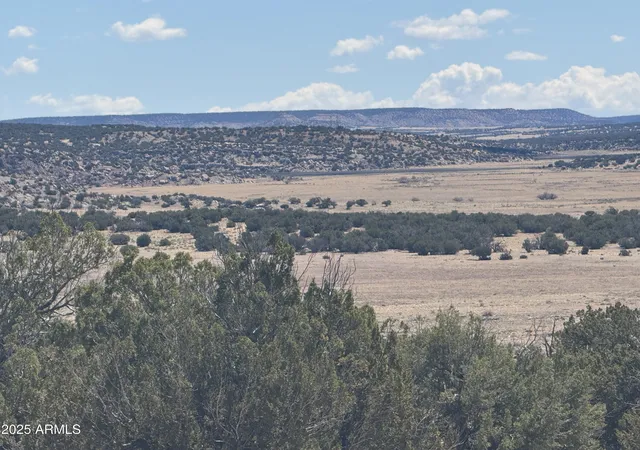 Photo 4 of Land for sale at Lot 752 Woodland Valley Ranch #752, St Johns, AZ 85936 | MLS# 7065069 | Listing updated on 2026-08-11