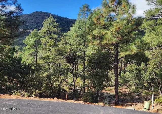Photo 2 of Land for sale at 000 N Sundown Ln #104, Pine, AZ 85544 | MLS# 7065302 | Listing updated on 2026-08-17