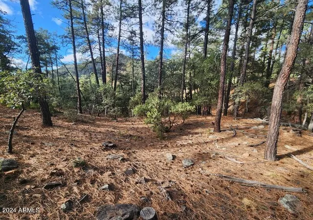 Photo 2 of Land for sale at 000 N Sundown Ln #104, Pine, AZ 85544 | MLS# 7065302 | Listing updated on 2026-08-17