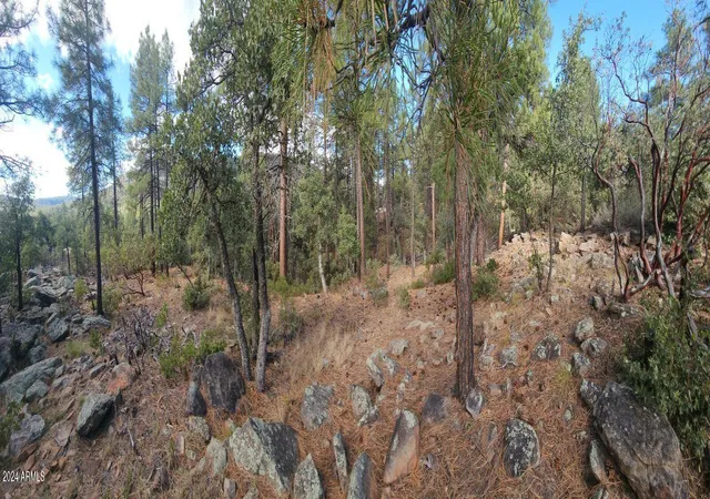 Photo 3 of Land for sale at 000 N Sundown Ln #104, Pine, AZ 85544 | MLS# 7065302 | Listing updated on 2026-08-17