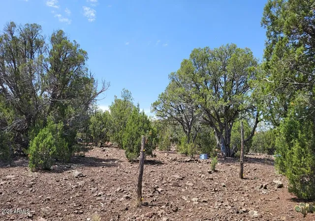 20th image of 9716 Cattle Dr #163, Ash Fork, AZ 86320 | MLS# 7065408