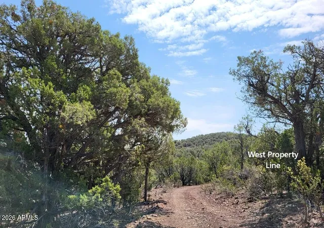 Photo 3 of Land for sale at 9716 Cattle Dr #163, Ash Fork, AZ 86320 | MLS# 7065408 | Listing updated on 2026-08-12
