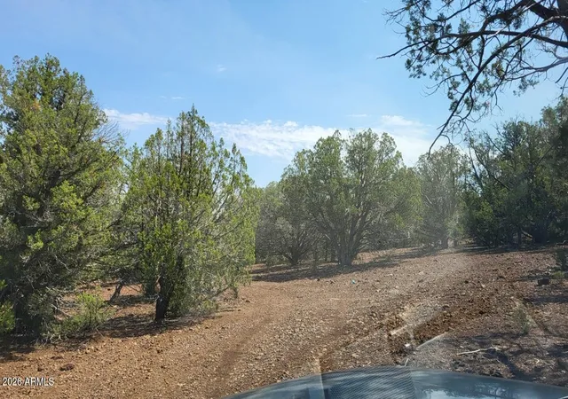 Photo 4 of Land for sale at 9716 Cattle Dr #163, Ash Fork, AZ 86320 | MLS# 7065408 | Listing updated on 2026-08-12