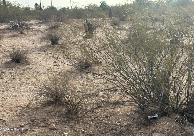 2nd image of 0 E Cactus Flower Dr #C and D, Florence, AZ 85132 | MLS# 7065790