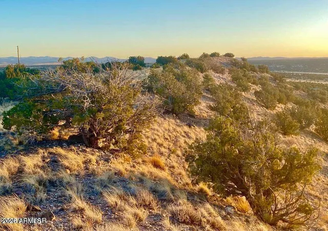 5th image of Tbd Co Rd 5060 138 Acres --, Concho, AZ 85924 | MLS# 7065875