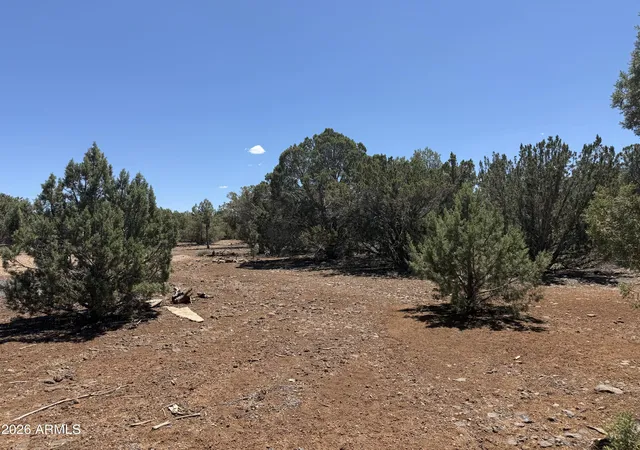 Photo 1 of Land for sale at 1886 White Tail Pl #13-14, Show Low, AZ 85901 | MLS# 7066206 | Listing updated on 2026-08-13