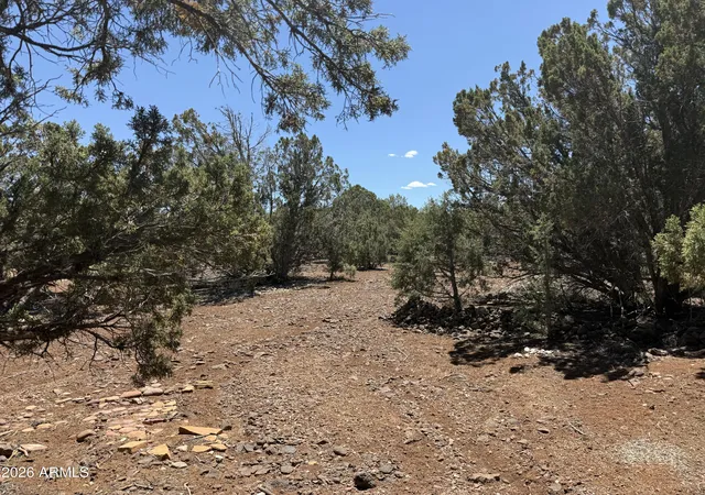 Photo 3 of Land for sale at 1886 White Tail Pl #13-14, Show Low, AZ 85901 | MLS# 7066206 | Listing updated on 2026-08-13
