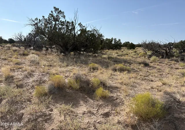 2nd image of 0 Coyote Run #577, Saint Johns, AZ 85936 | MLS# 7066241