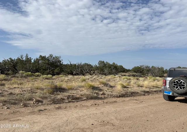 3rd image of 0 Coyote Run #577, Saint Johns, AZ 85936 | MLS# 7066241