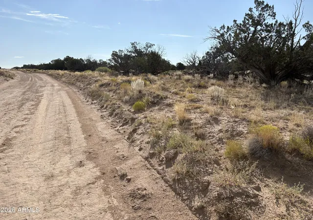 5th image of 0 Coyote Run #577, Saint Johns, AZ 85936 | MLS# 7066241
