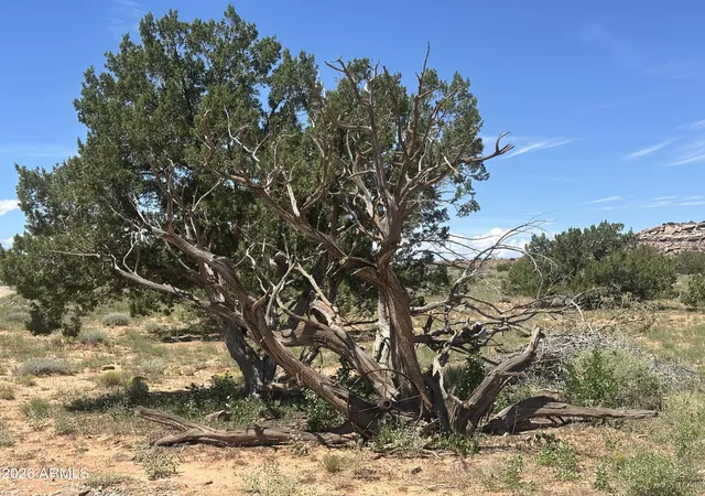 37th image of 1771 W Ridgeview Ranch Dr, Snowflake, AZ 85937 | MLS# 7066304