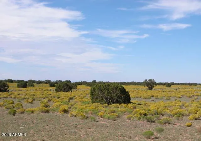 1st image of 206 10 409 Bar Nothing Ranch Rd, Chambers, AZ 86502 | MLS# 7066734