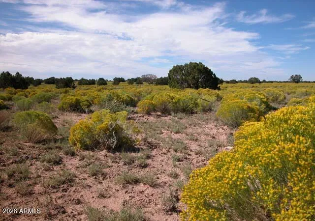 2nd image of 206 10 409 Bar Nothing Ranch Rd, Chambers, AZ 86502 | MLS# 7066734