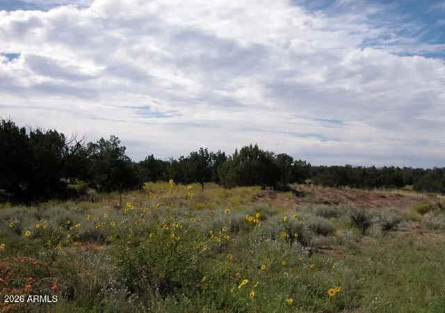 4th image of 206-10-409 Bar Nothing Ranch Rd, Chambers, AZ 86502 | MLS# 7066734
