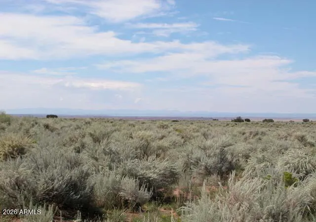 5th image of 206 10 409 Bar Nothing Ranch Rd, Chambers, AZ 86502 | MLS# 7066734