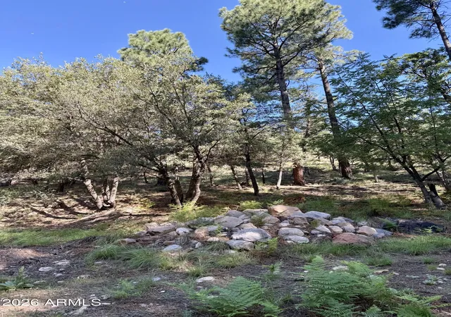1st image of 165 W Burnt Point Trl #1, Payson, AZ 85541 | MLS# 7067073