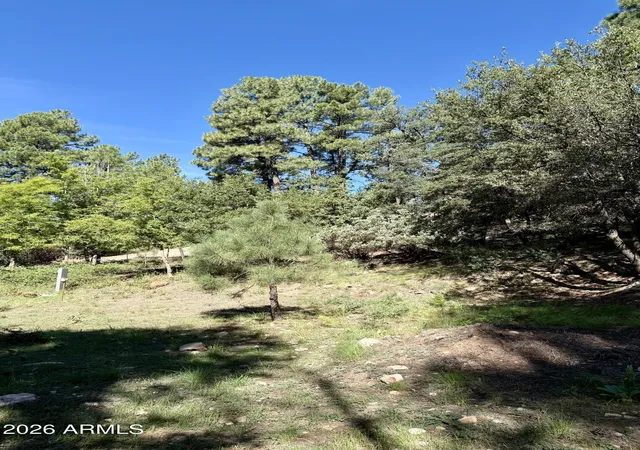 2nd image of 165 W Burnt Point Trl #1, Payson, AZ 85541 | MLS# 7067073