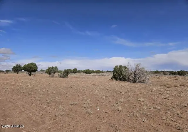 3rd image of 15 N 9079 --, Concho, AZ 85924 | MLS# 7066719