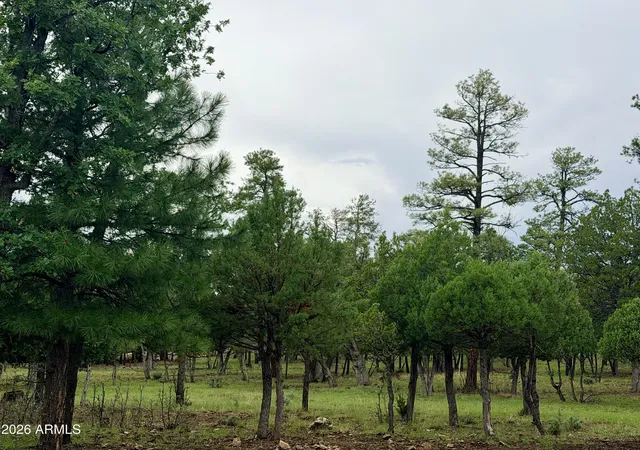 Photo 1 of Land for sale at 4517 Durango Dr #374, Happy Jack, AZ 86024 | MLS# 7067410 | Listing updated on 2026-08-16