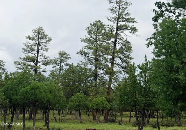 Photo 2 of Land for sale at 4517 Durango Dr #374, Happy Jack, AZ 86024 | MLS# 7067410 | Listing updated on 2026-08-16