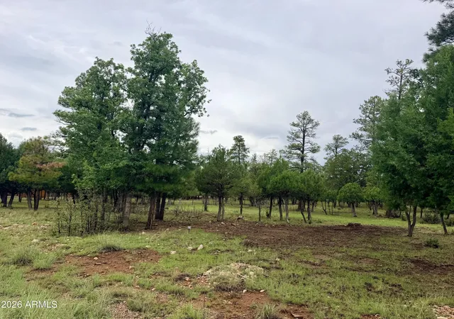 Photo 3 of Land for sale at 4517 Durango Dr #374, Happy Jack, AZ 86024 | MLS# 7067410 | Listing updated on 2026-08-16