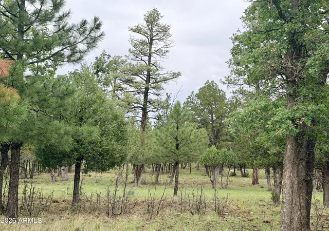 Photo 3 of Land for sale at 4517 Durango Dr #374, Happy Jack, AZ 86024 | MLS# 7067410 | Listing updated on 2026-08-16