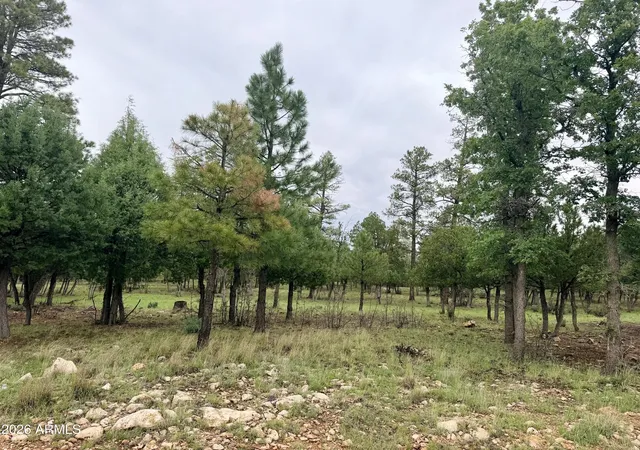 Photo 4 of Land for sale at 4517 Durango Dr #374, Happy Jack, AZ 86024 | MLS# 7067410 | Listing updated on 2026-08-16