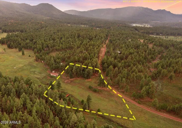 67th image of 36 N County Road 2147, Alpine, AZ 85920 | MLS# 7067498