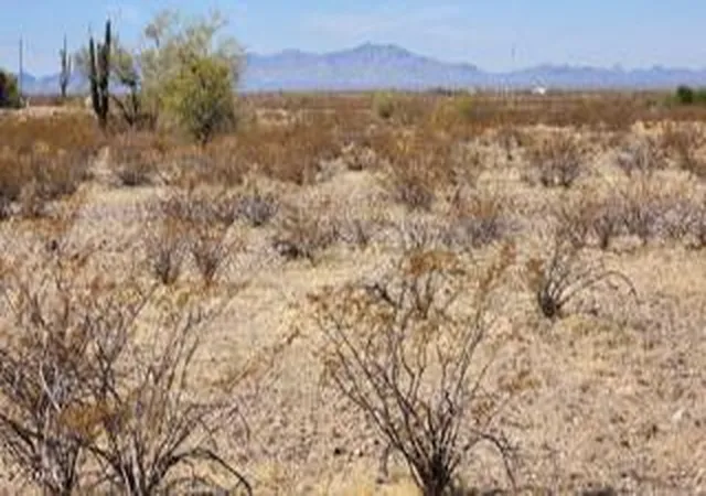 Photo 3 of Land for sale at 0 N 300th Ave #145, Wittmann, AZ 85361 | MLS# 7070862 | Listing updated on 2026-08-25