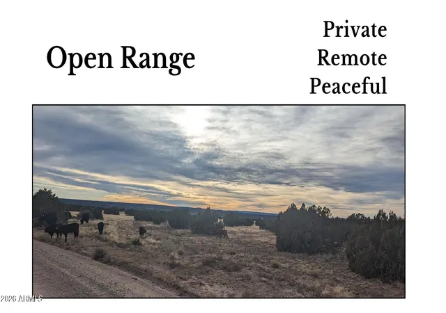 Photo 3 of Land for sale at 4 Parcels N Shady Oak 404-69-005 Rd E #D, Show Low, AZ 85901 | MLS# 7071286 | Listing updated on 2026-08-26
