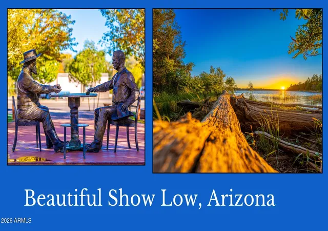 Photo 4 of Land for sale at 4 Parcels N Shady Oak 404-69-005 Rd E #D, Show Low, AZ 85901 | MLS# 7071286 | Listing updated on 2026-08-26