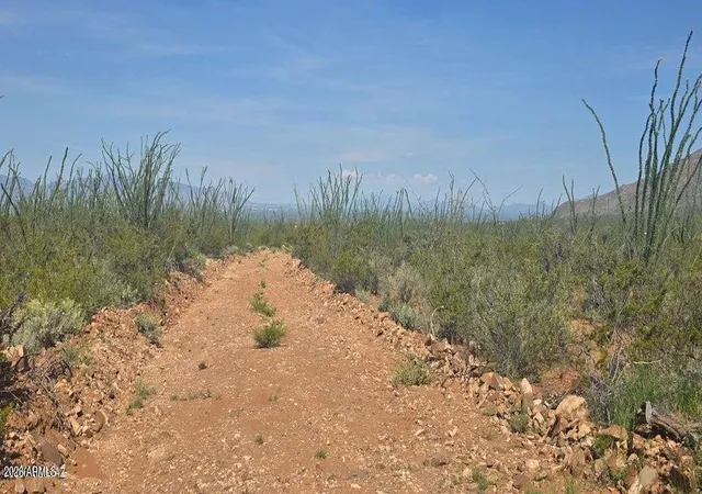 12th image of Tbd E Windmill Rd, Tombstone, AZ 85638 | MLS# 7067792