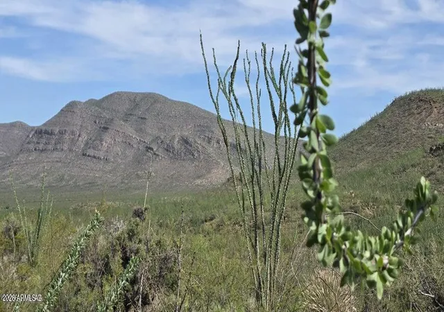 1st image of Tbd E Windmill Rd, Tombstone, AZ 85638 | MLS# 7067792