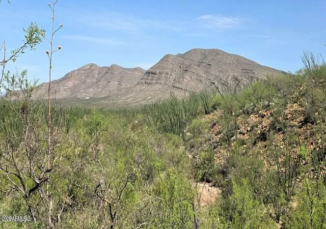 2nd image of Tbd E Windmill Rd, Tombstone, AZ 85638 | MLS# 7067792