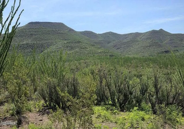 Photo 3 of Land for sale at Tbd E Windmill Rd, Tombstone, AZ 85638 | MLS# 7067792 | Listing updated on 2026-08-22